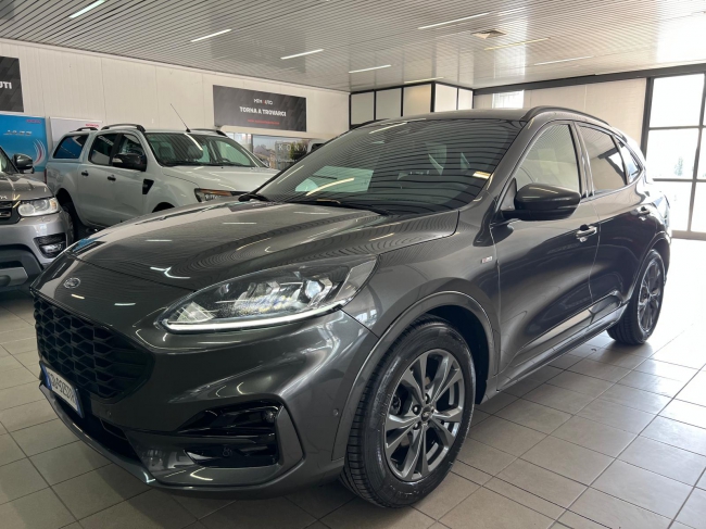 Ford Kuga 1.5 Ecoblue ST-Line 2wd 120cv KM 46.000 - GROSSETO